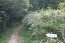 Des Gdes Dalles à St Pierre